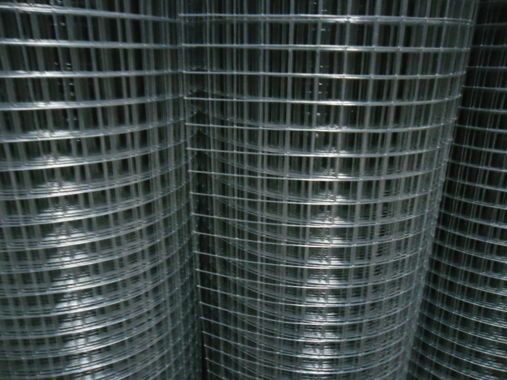 ¸´¼þ SAM_2135.JPG